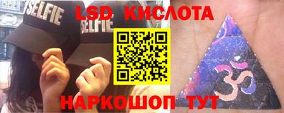 прущие грибы Можайск