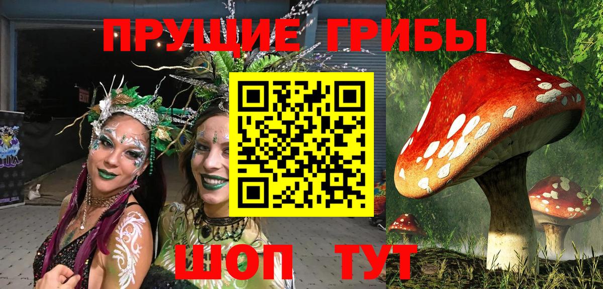 Галлюциногенные грибы MAGIC MUSHROOMS Верхняя Пышма