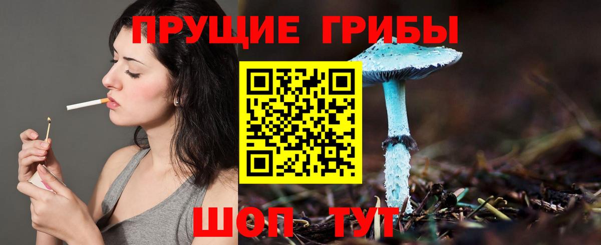 Псилоцибиновые грибы Cubensis  Вход с VPN  Верхняя Пышма 